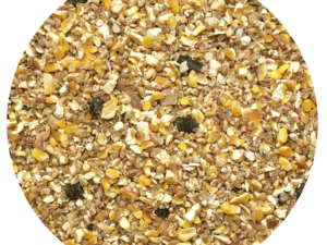 Nordic Chick Mix - 15 kg (Bestillingsvare leveringstid ca. 2 uger)