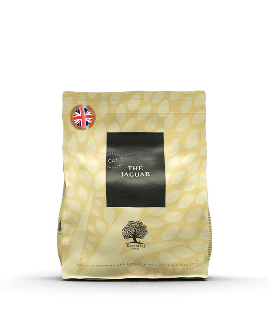 Essential Jaguar