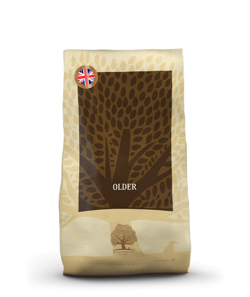 Essential Older - det sedste til din seniorhund