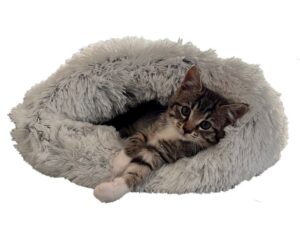 Kattehuler og senge