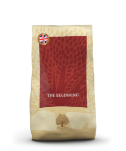 ESSENTIAL The BEGINNING – 10 kg