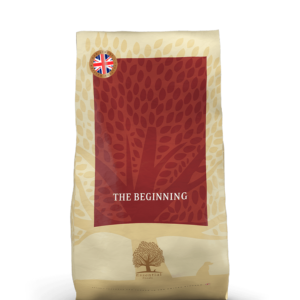 Essential The beginning