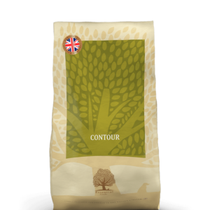 Essential Contour