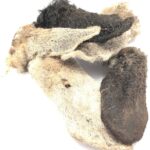 Lammeøre 1 stk. så hunden lige kan smage :-)