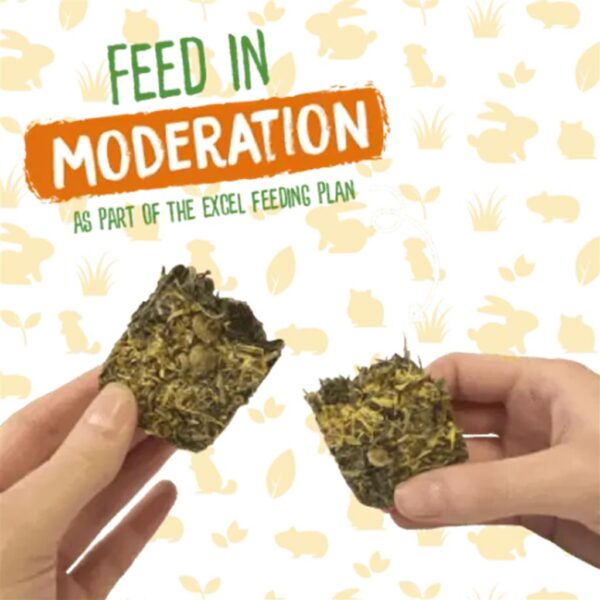 Burgess Forage&Feast Hø, Marigold - 60g - Billede 2