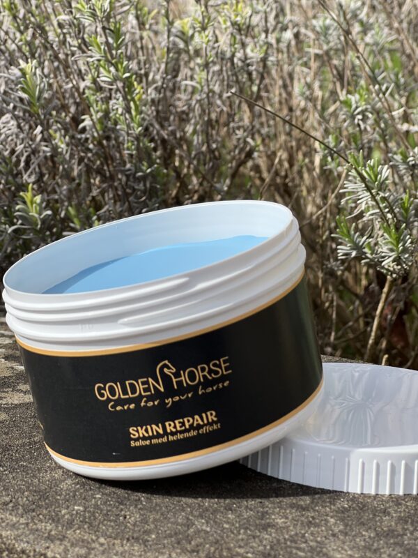 Golden Horse Skin Repair