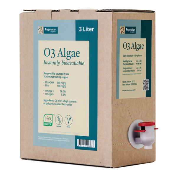 Regulator Complete O3 Algeolie - 3 liter