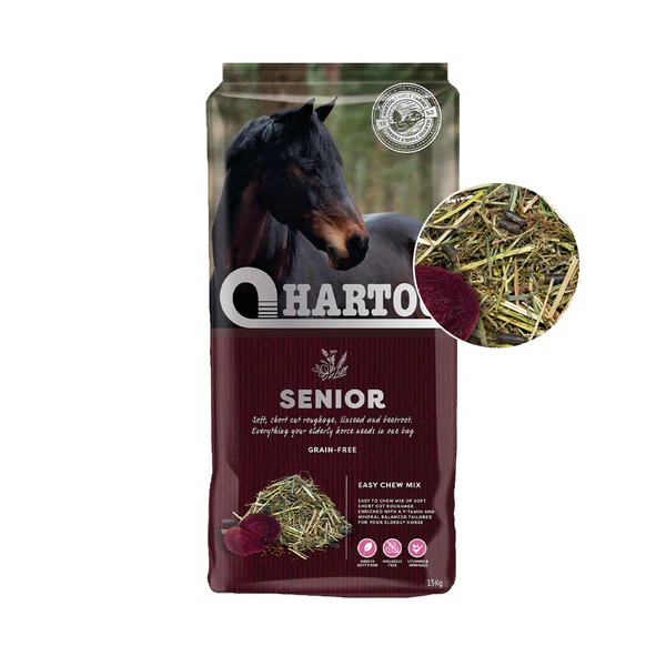 Hartog Senior Lucerne