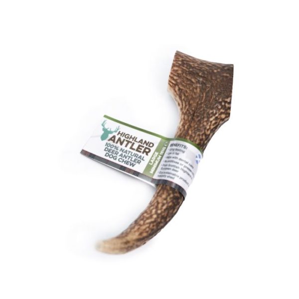 Antler large - hjortegevir til den tyggeglade hund