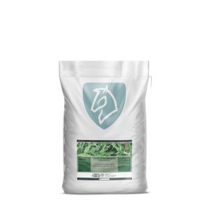 Nordic Brændenælde – 1 kg