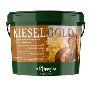 St. Hippolyt KieselGold – 4 kg