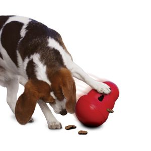 KONG Wobbler – Large