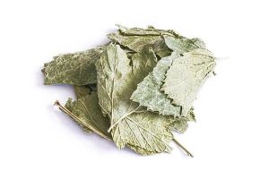 Solbær Blade – 100 gram