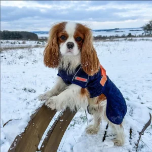 Siccaro Supreme 2.0 Granite – str. 30 – 50% UDGÅR AF SORTIMENT I FYSISK BUTIK