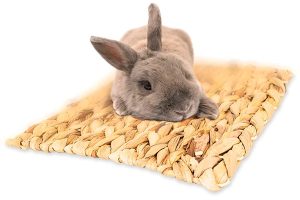 Nibblemåtte fra JR Farm