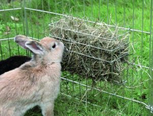 Høhæk 25 x 17 x 9 cm