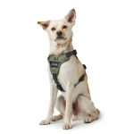 Hunter Divo Hundesele