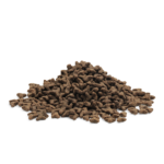 ESSENTIAL The LITTLE LION