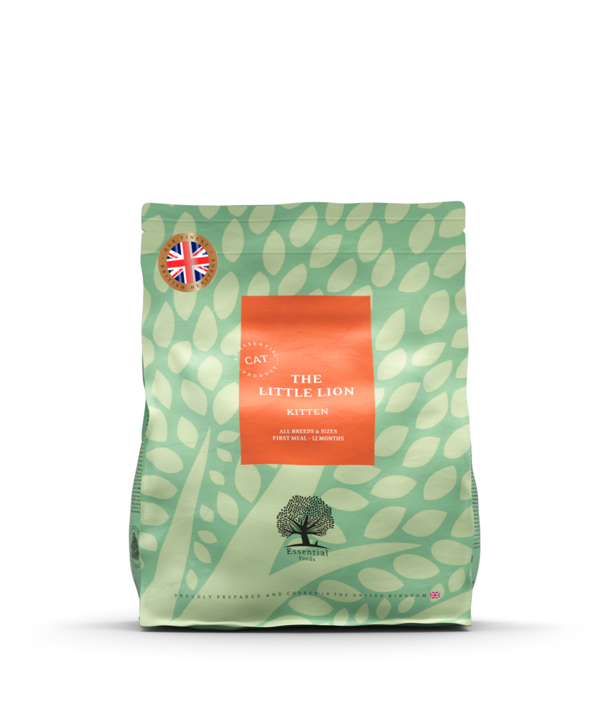 ESSENTIAL The LITTLE LION