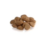 ESSENTIAL The GOLDEN GHOST kattegodbid