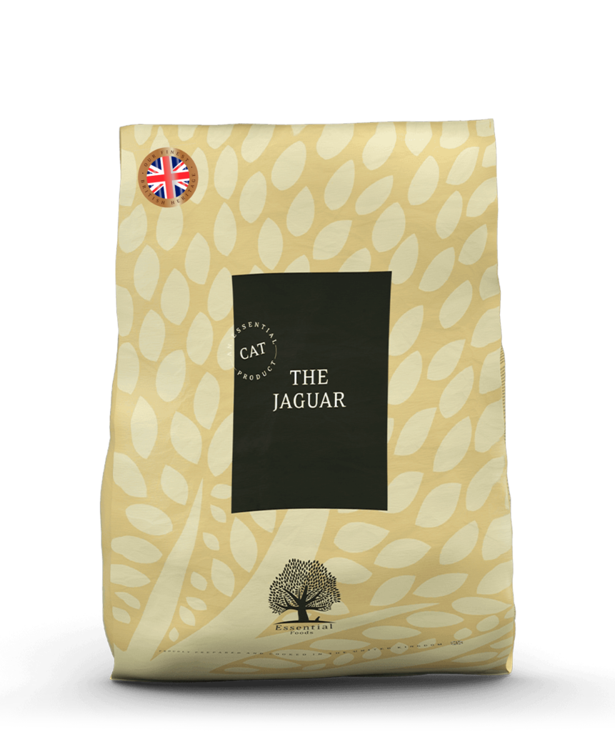 ESSENTIAL The JAGUAR