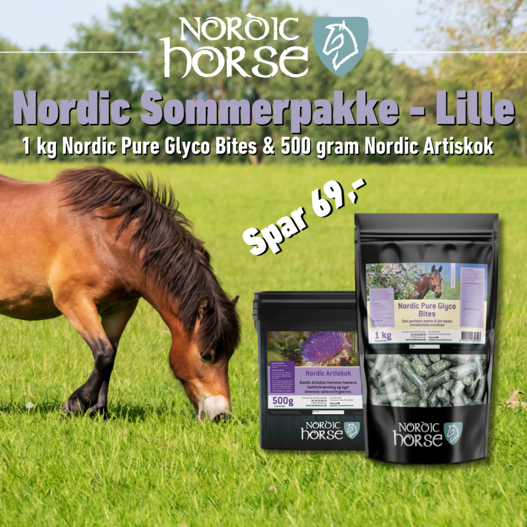 Nordic Lille Sommerpakke - 500g Artiskok + 1 kg Glycobites
