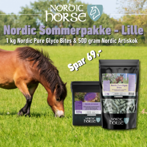 Nordic Lille Sommerpakke – 500g Artiskok + 1 kg Glycobites