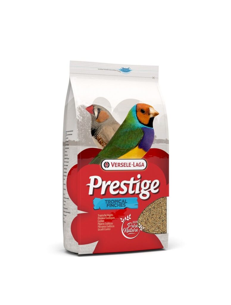 Prestige Trope Blanding